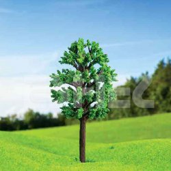 Eshel Zelkova Ağacı 6cm Paket İçi:2 - Thumbnail