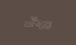 Faber Castell - Faber Castell Art&Graphic Polychromos Artist Kuru Boya Kalemi 177 Walnut Brown
