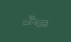 Faber Castell - Faber Castell Art&Graphic Polychromos Artist Kuru Boya Kalemi 267 Pine Green