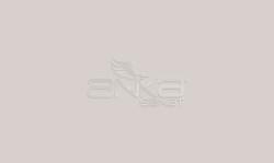 Faber Castell - Faber Castell Art&Graphic Polychromos Artist Kuru Boya Kalemi 270 Warm Grey I
