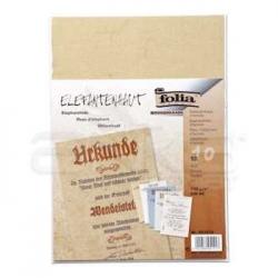 Folia - Folia Fil Kağıdı A4 10lu Paket (1)