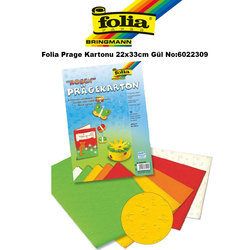 Folia - Folia Prage Kartonu 22x33cm Gül No:6022309