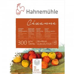 Hahnemühle - Hahnemühle Cezanne Sulu Boya Blok Rough 300g 10 Yaprak 30x40cm