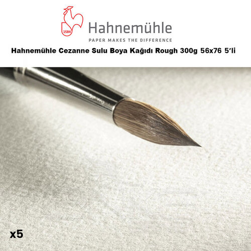 Hahnemühle Cezanne Sulu Boya Kağıdı Rough 300g 56x76 5li