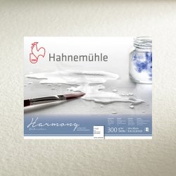 Hahnemühle - Hahnemühle Harmony Sulu Boya Kağıdı 300g 50x65cm 10lu (1)
