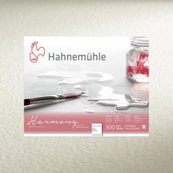 Hahnemühle Harmony Sulu Boya Kağıdı 300g 50x65cm 10lu - Thumbnail