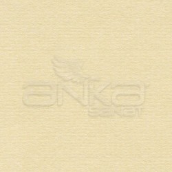 Hahnemühle - Hahnemühle Mould Made Ingres Pastel Kağıdı 48x62.5 10 Adet Sarı 25