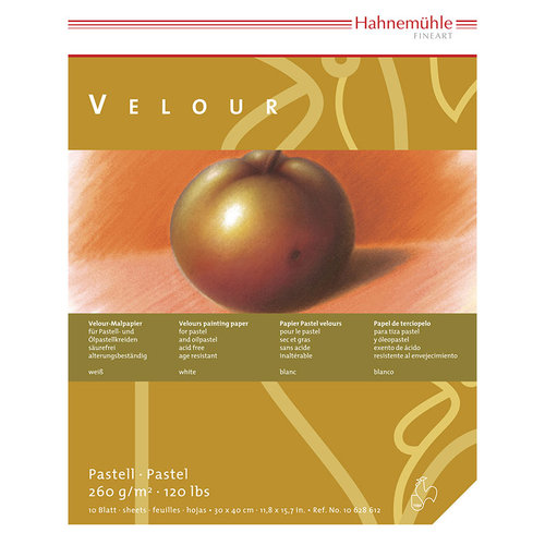 Hahnemühle Pastell Velour Blok 10 Yaprak 260 g