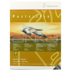 Hahnemühle PastellFix Pastel Blok 170g 24x32cm 12 Yaprak 10628490 - Thumbnail