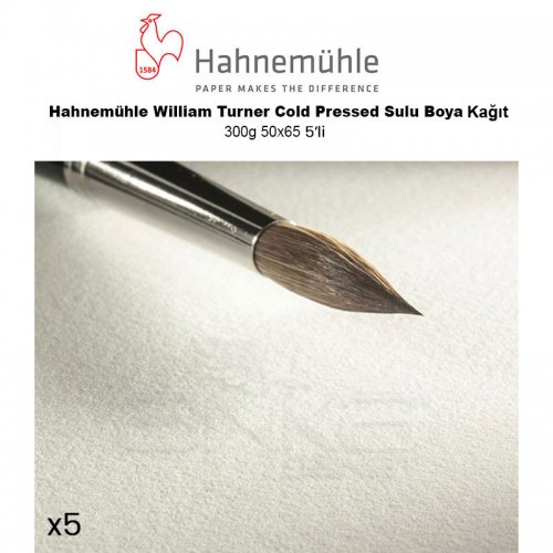 Hahnemühle William Turner Cold Pressed Sulu Boya Kağıt 300g 50x65 5li