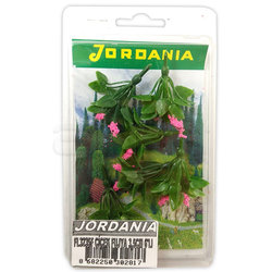 Jordania - Jordania Çiçek Maketi Fuşya 3.5cm 6lı FL3235F