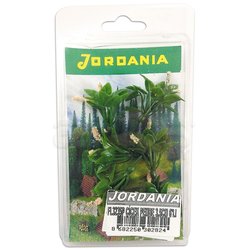 Jordania - Jordania Çiçek Maketi Pembe 3.5cm 6lı FL3235P