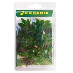 Jordania Çiçek Maketi Pudra 4.5cm 6lı FL3245P - Thumbnail