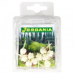 Jordania - Jordania Mini Ağaç Maketi 2.5cm 10lu MN2510F