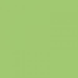 Koh-i-Noor - Koh-i-Noor Polycolour Renkli Kalemi 058 Light Green