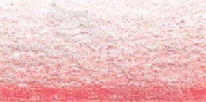 Koh-i-Noor Toison Dor Artists Toz Pastel Boya 101 Vermillion Red Light - 101 Vermillion Red Light