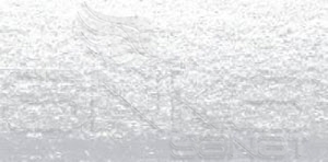 Koh-i-Noor Toison Dor Artists Toz Pastel Boya 119 Standard Silver - 119 Standard Silver