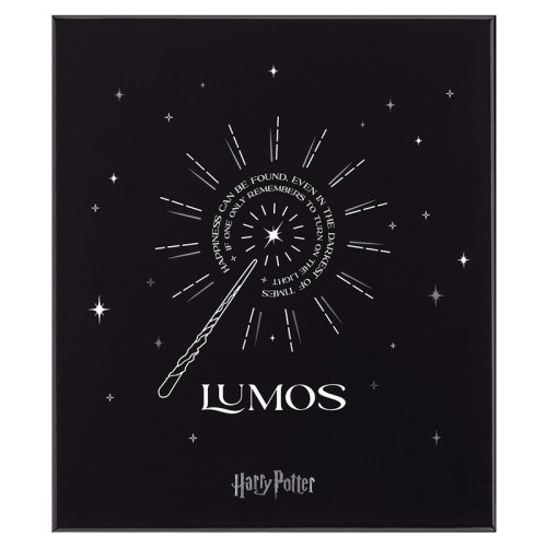 Moleskine Harry Potter Limited Edition Themed Box Defter + Kalem Seti