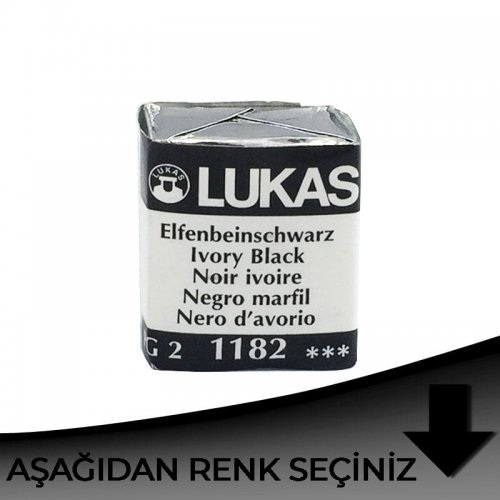 Lukas Aquarell 1862 Artist Yarım Tablet Sulu Boya Siyah Tonlar