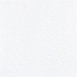 Lukas - Lukas Su Bazlı Linol Baskı Boyası Beyaz No:9001 20ml