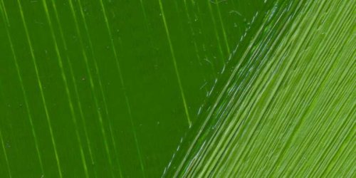 Lukas Terzia Yağlı Boya Çimen Yeşili 200ml - Çimen Yeşili