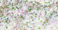 Marabu Cam Kontür 20ml 590 Glitter Opal - 590 Glitter Opal
