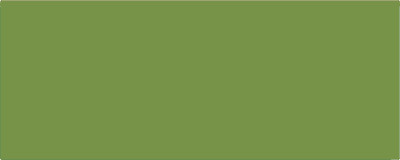 Mungyo Gallery Artists Toz Pastel Boya 025 Leaf Green - 025 Leaf Green