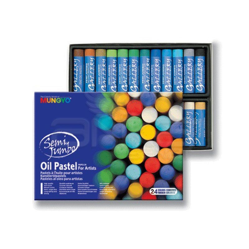 Boîte De 24 Pastels Tendres Assortis Mungyo - Pigments Extra-Fins Pour Dessin Artistique