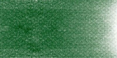 PanPastel No:640.3 Permanent Green Shade - 640.3 Permanent Green Shade