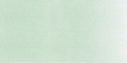 PanPastel - PanPastel No:640.8 Permanent Green Tint