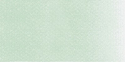 PanPastel No:640.8 Permanent Green Tint - 640.8 Permanent Green Tint
