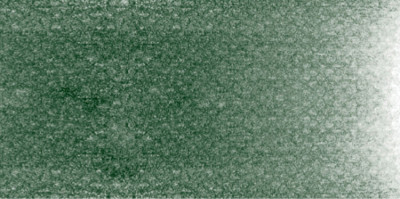 PanPastel No:660.3 Chromium Oxide Green Shade - 660.3 Chromium Oxide Green Shade