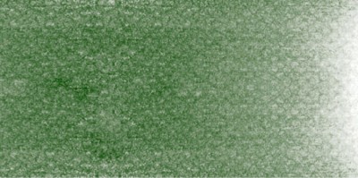 PanPastel No:660.5 Chromium Oxide Green - 660.5 Chromium Oxide Green