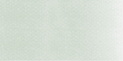 PanPastel No:660.8 Chromium Oxide Green Tint - 660.8 Chromium Oxide Green Tint