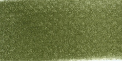 PanPastel - PanPastel No:680.1 Bright Yellow Green Extra Dark