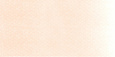 PanPastel No:740.8 Burnt Sienna Tint - 740.8 Burnt Sienna Tint