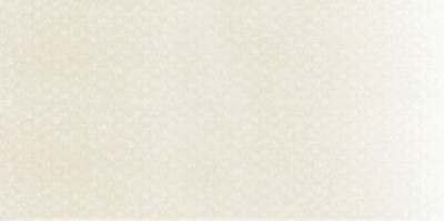 PanPastel No:780.8 Raw Umber Tint - 780.8 Raw Umber Tint