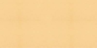 PanPastel No:952.5 Pearlescent Orange - 952.5 Pearlescent Orange