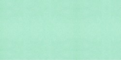 PanPastel - PanPastel No:956.5 Pearlescent Green