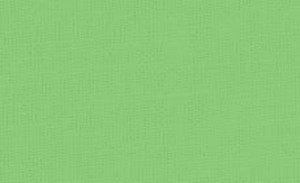 Pebeo Setacolor Opak Kumaş Boyası 24 Spring Green - 24 Spring Green