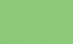 Pebeo - Pebeo Setacolor Opak Kumaş Boyası 24 Spring Green