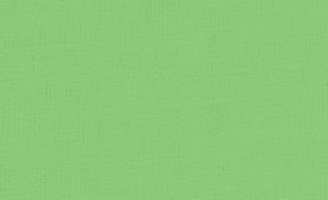 Pebeo Setacolor Opak Kumaş Boyası 24 Spring Green - 24 Spring Green