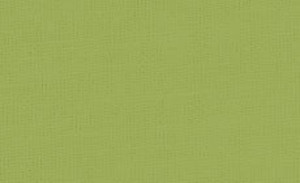 Pebeo Setacolor Opak Kumaş Boyası 83 Olive - 83 Olive