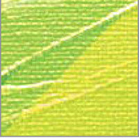 Pebeo Studio Akrilik Boya 359 İridescent Green Yellow 100ml - 359 İridescent Green Yellow