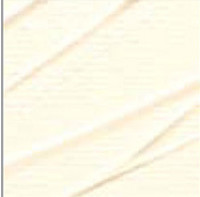 Pebeo Studio Akrilik Boya 65 İvoire Buff Titanium 100ml - 65 İvoire Buff Titanium