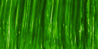 Pebeo Vitrail Şeffaf Cam Boyası 45ml Yeşil 18 - 18 Yeşil