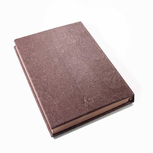 Hahnemühle The Cappuccino Eskiz Book Sert Kapak Defter 120g A5