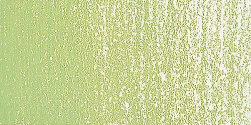 Rembrandt Soft Pastel Boya Olive Green 620.8