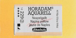 Makin's Clay - Schmincke Horadam Aquarell 1/1 Tablet 229 Naples Yellow seri 2