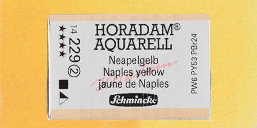Schmincke Horadam Aquarell 1/1 Tablet 229 Naples Yellow seri 2